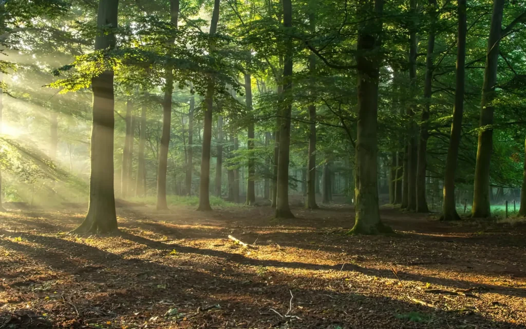 In het hart van Leur ligt waar je heerlijke pannenkoeken kunt eten