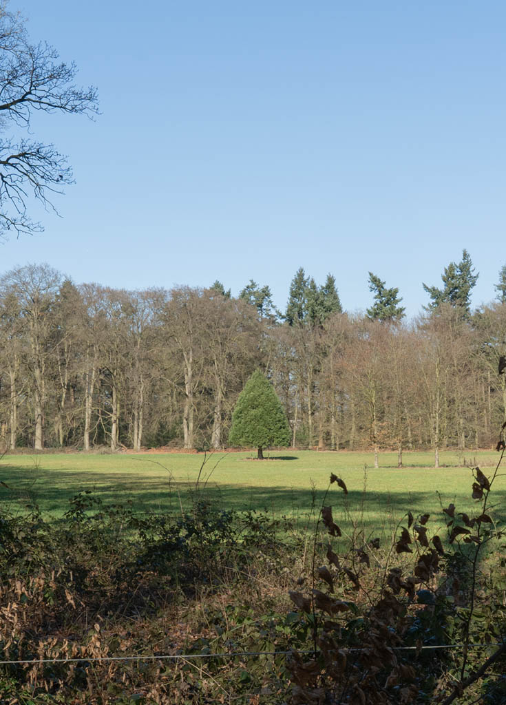 De heerlijke wij in Leur