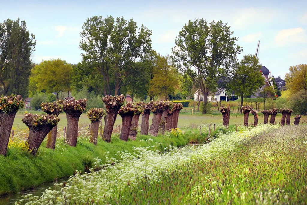 De omgeing van Leur is prachtig