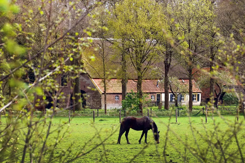 Het landgoed van Leur | Wijchen
